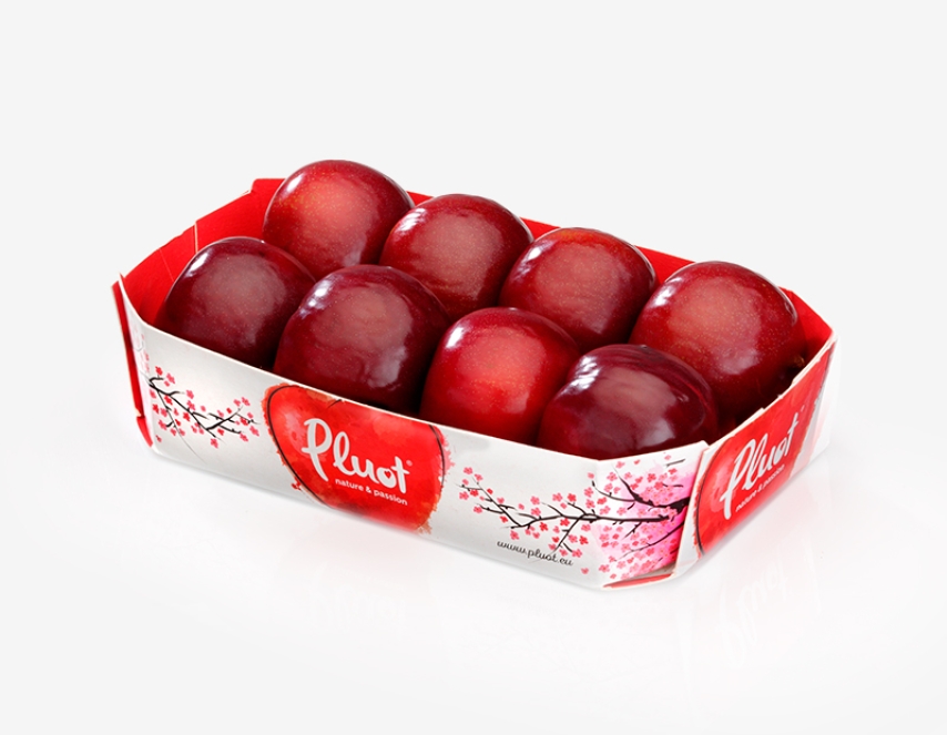 Pluot